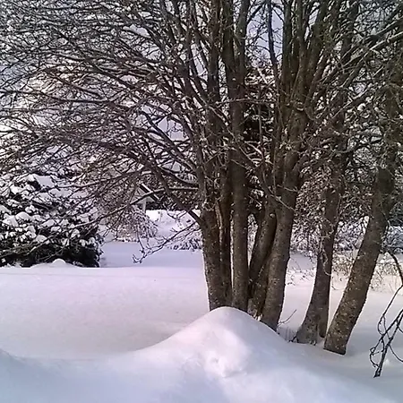 Luntinmäen Omakotitalo Huvilat Keskikyla