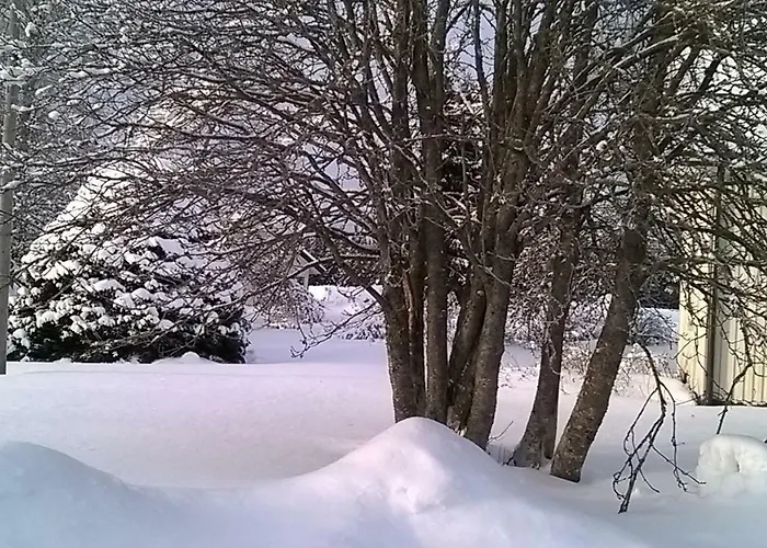 Luntinmaeen Omakotitalo Вилла Keskikyla